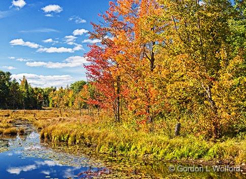 Autumn Landscape_28342.jpg - Photographed in the Canadian Shield near Maberly, Ontario, Canada.